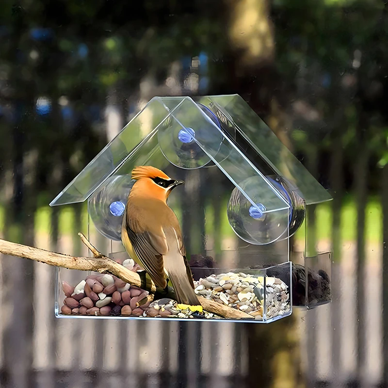 Window Mounted Bird Feeder Strong Suction Cup Design Durable Bird Feeders Yard Garden Pet Supplies Easy Clean Food Container