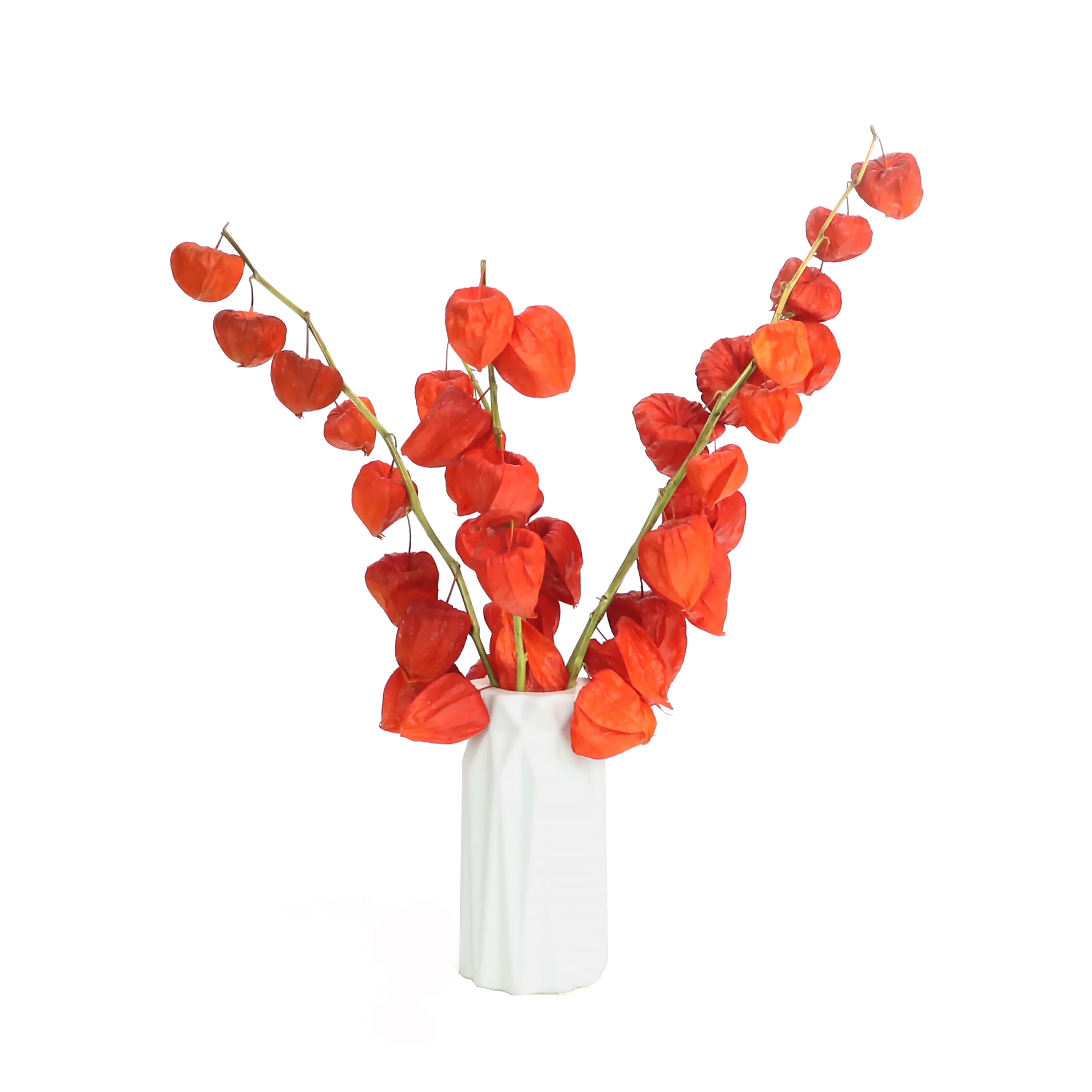 Dried Physalis Branch,5PCS/Bundle Real Orange Dried Flowers,for Christmas,DTY Crafts,Home,Party,Vase,Table,Wedding Decor view 5
