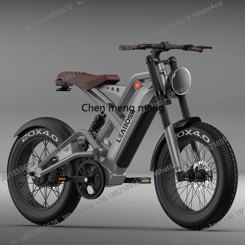 

20inch Fat Tire ELECTRIC BICYCLES 1000W 750W Fatbike Motor Electric Bike Bicycle City All Terrain E-bike