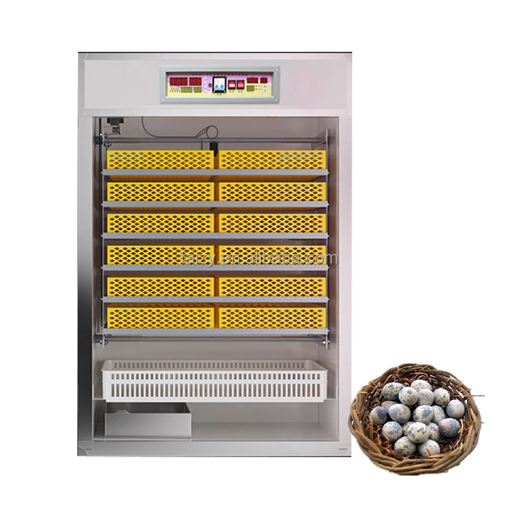 

Incubator 10000 Eggs Chicken Incubators Hatching Eggs Fully Automatic Incubators