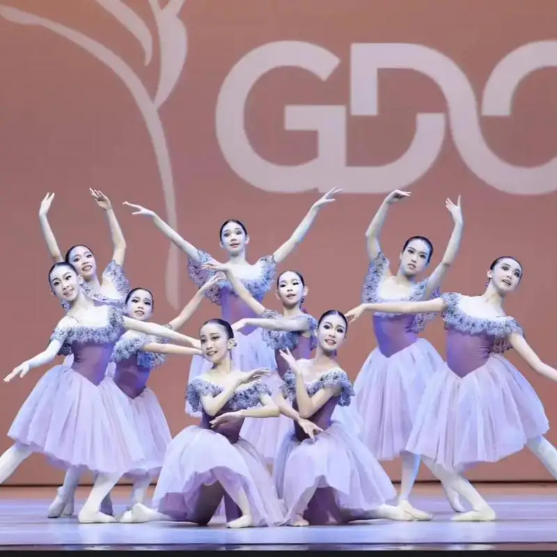 

Children Ballet Dress Performance Clothing Girls Adults Purple Ballerinas Women Competition Artistic Skating Dress Tutus Ballet