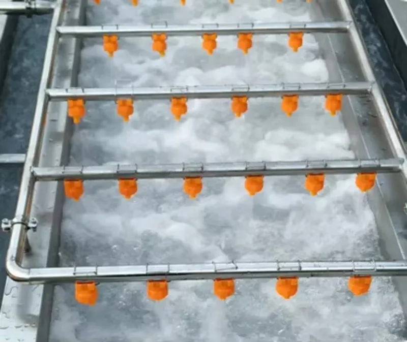 Customized Industrial Air Bubble Fruit Lettuce Washer Salad Vegetable Washing Machine for Vegetables