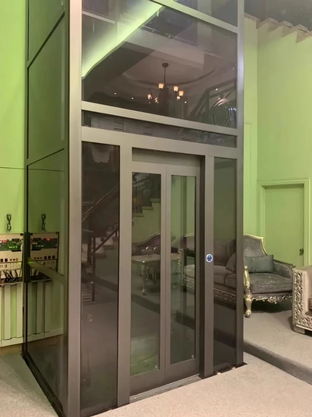 Home Use Small Elevator Lift Glass Sightseeing Passenger Elevator Safety Quality Elevator for House Residential Customized