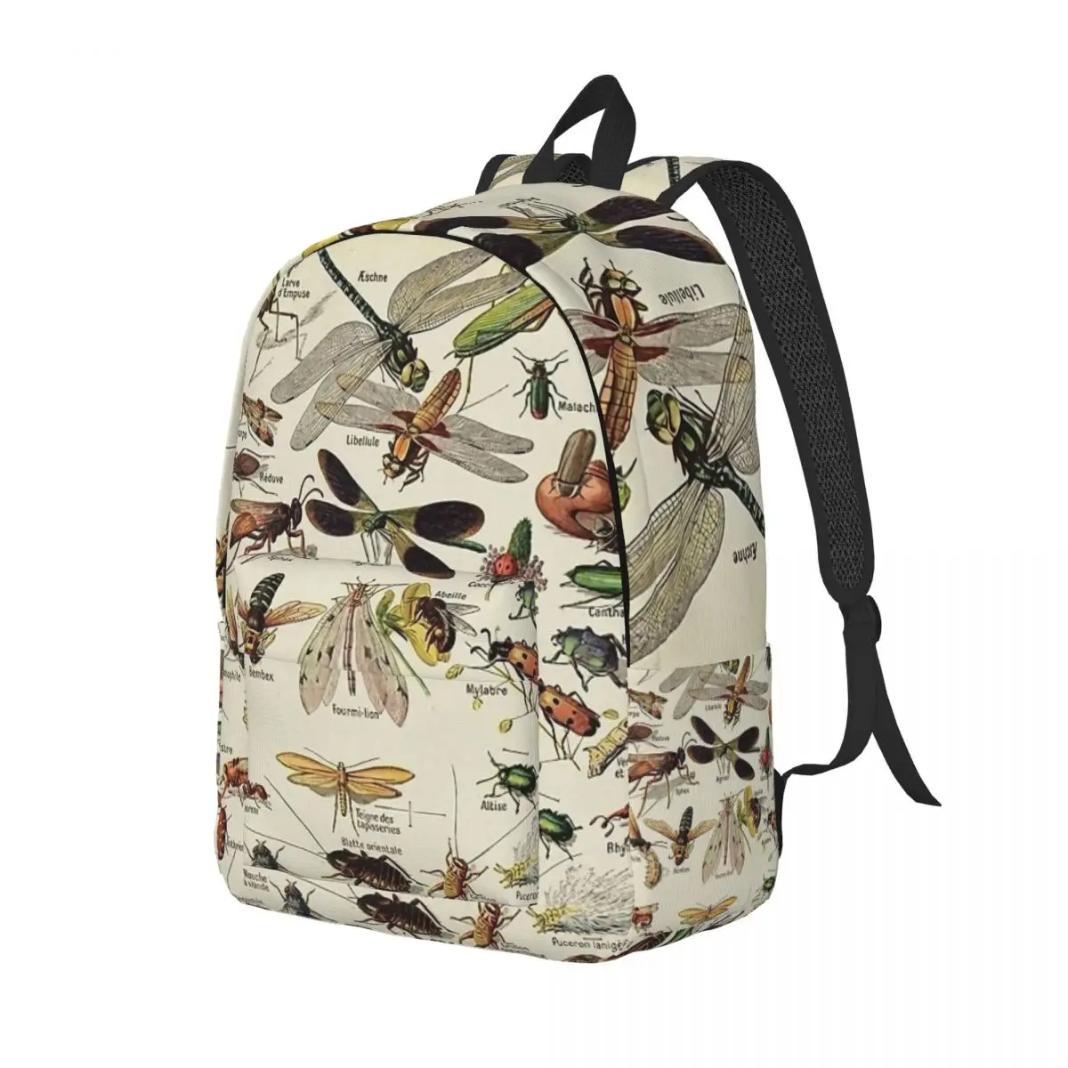 Insects Chart Scientific Fashion Backpack High School Work Vintage Entomology Daypack for Men Women Laptop Shoulder Bag