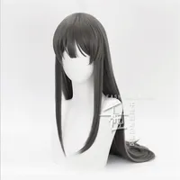 80cm Sakurajima Mai Grey Long Wig Cosplay Seishun Buta Yarou wa Bunny Girl Senpai no Yume wo Minai Heat Resistant Hair