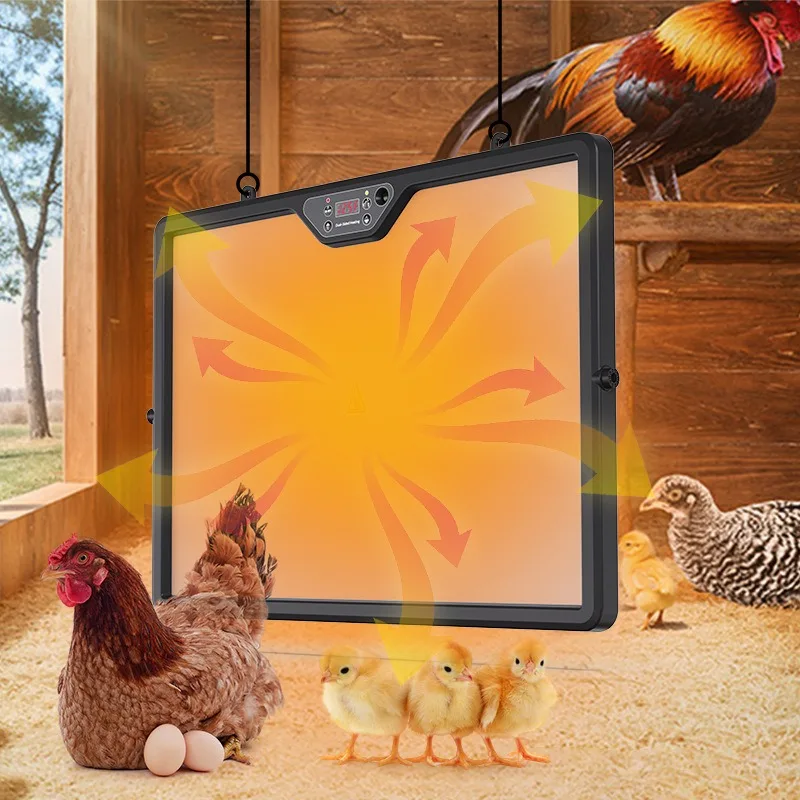 Double-sided brooding heating plate, adjustable height, household thermal insulation heating equipment for chicken and duck cubs