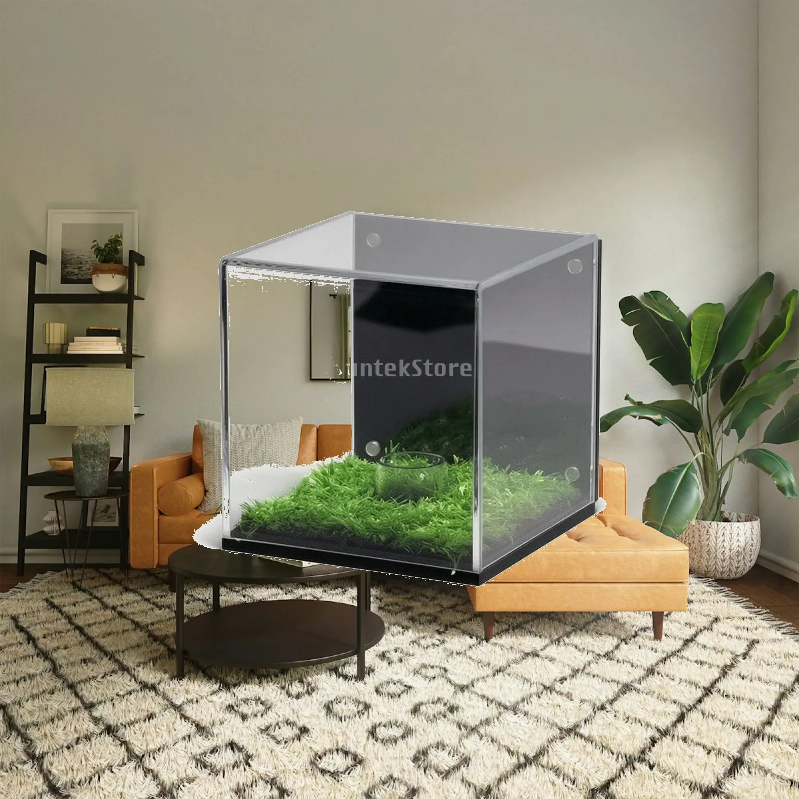 golf-ball-display-box-clear-golf-ball-display-enclosure-transparent