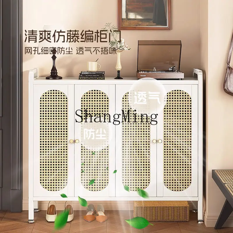 CL New Steel Shoe Rack for Home Entrance, Integrated Wall-Mounted Multi-Layer Large Capacity Hallway Entryway Shoe Rack