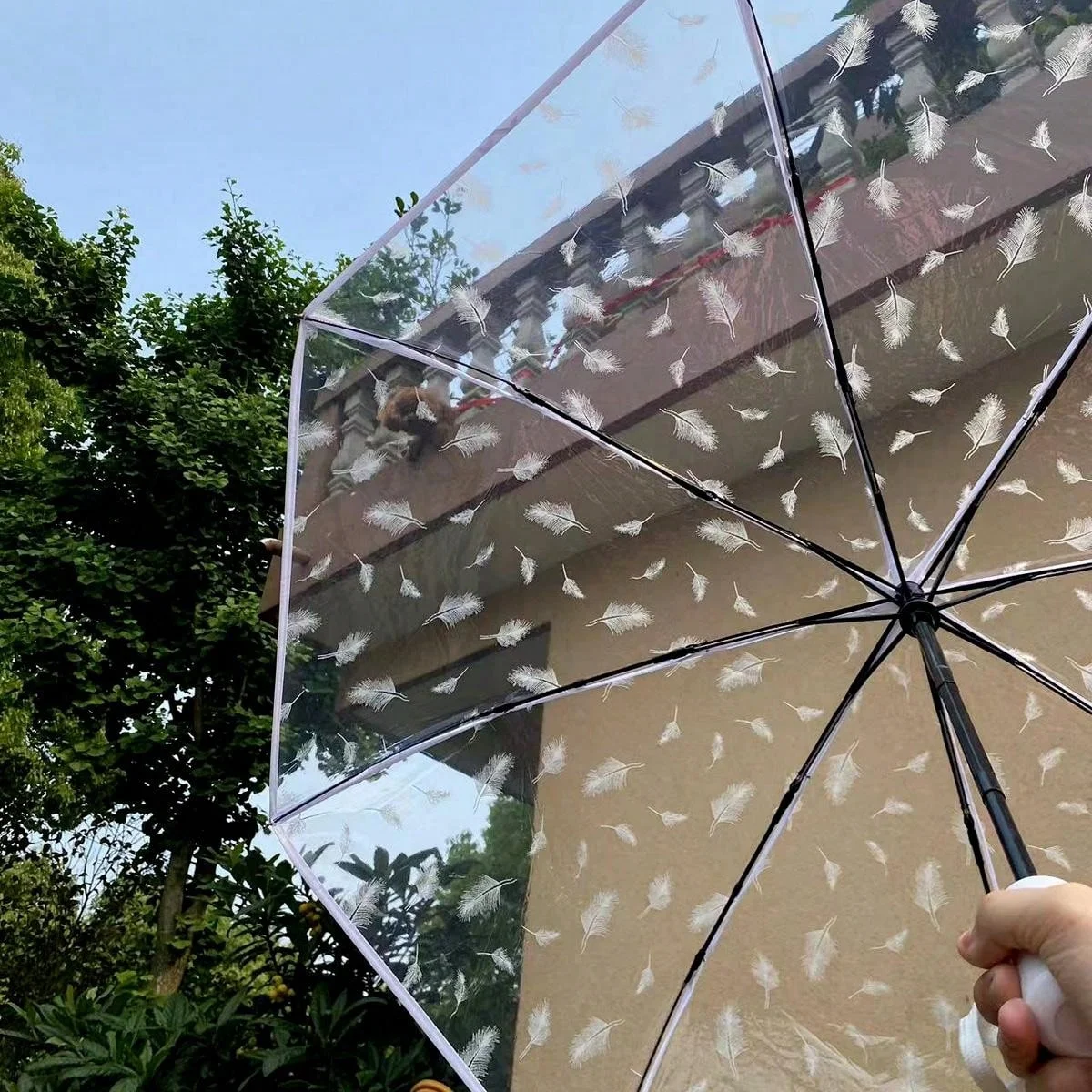 1 piece of compact fully automatic transparent feather umbrella suitable for taking photos couple umbrella windproof rainproof s