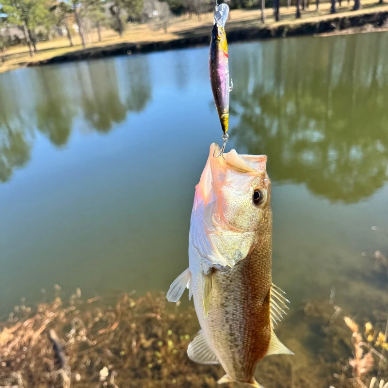 77 مللي متر 8.4 جرام Jerkbait أسماك الصيد إغراء المتذبذب الاصطناعي الطعم الثابت ل جثم موسكي سمك السلور الثنائي واقعية Rozante Pesca اكسسوارات