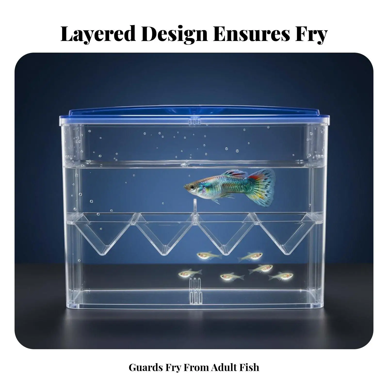 Acrylic Breeder Box for Aquarium Fish Hatchery with V Shaped Partition Fry Nursery Isolation Tank