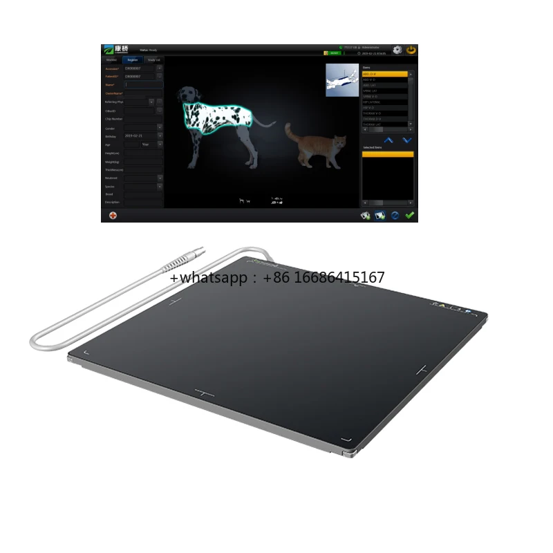 X Ray Machine Animals Horse Cattle Sheep Dog 17*17 Medical Dr Flat Panel Detector For X-ray Digital Imaging