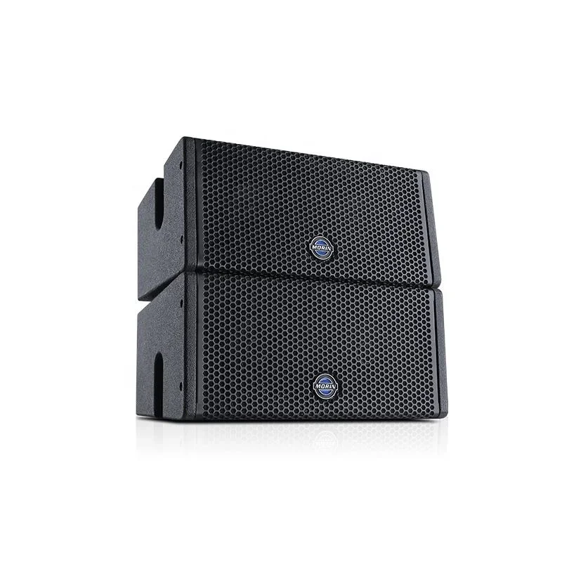 5-Inch Double Woofer Birch Plywood Line Array Passive Loudspeaker Sound System For Outdoor Gymnasium & Sports Halls
