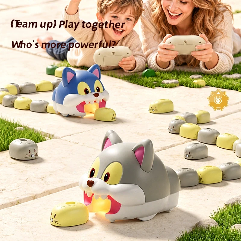 DIY Assemble Track RC Cat Toy, Rechargeable Remote Control Cat Chasing Number Beans Game,  Kids Funny Play Toy Birthday Gift