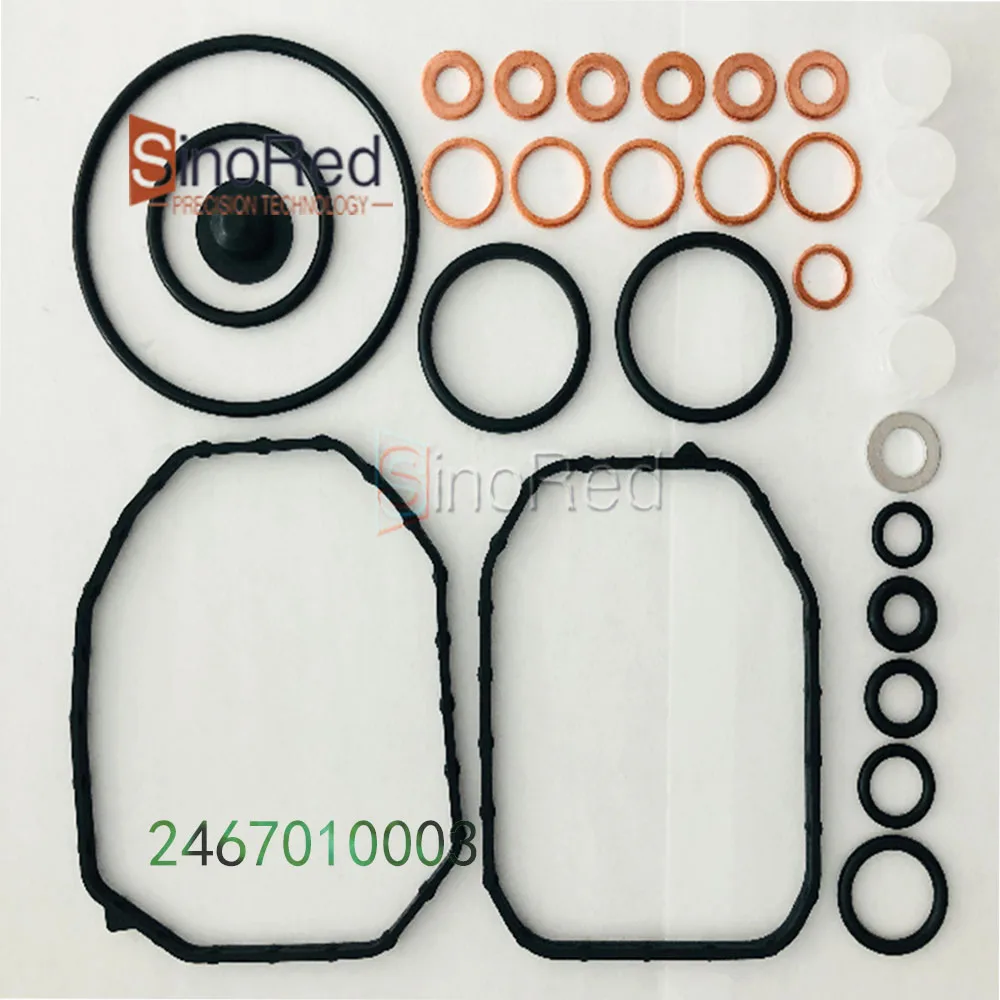 High Quality 20 PCS Fuel Pump Repair Kit 2467010003（800920）