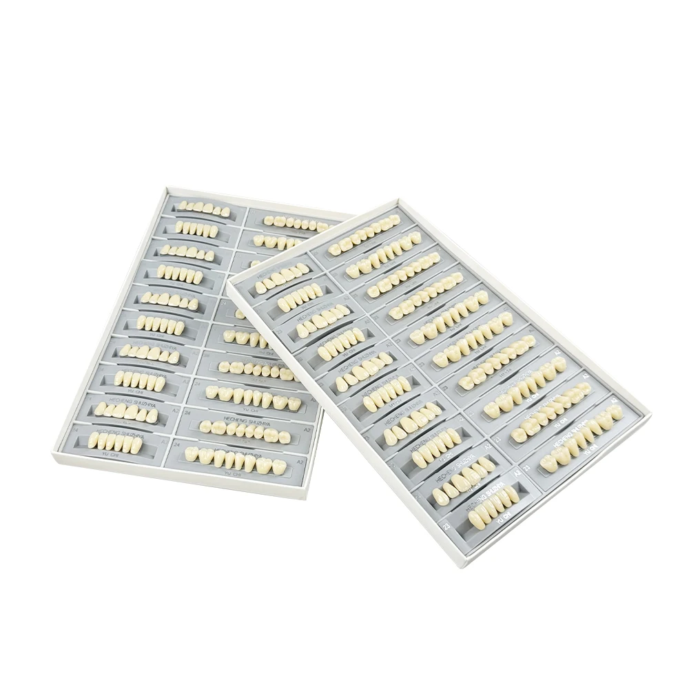 

Standard Size Teeth Upper and Lower Model Resin Denture Teeth Dental Teeth white shade guide Acrylic Education