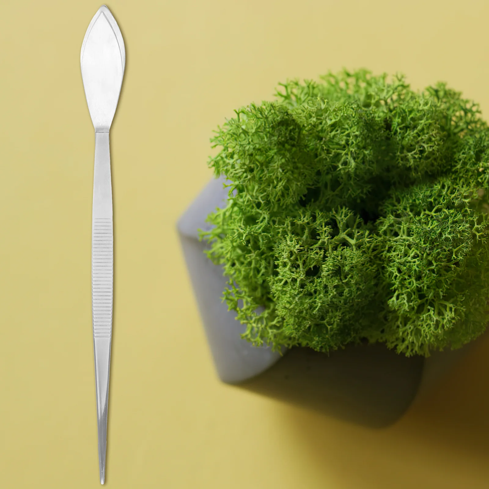 1 قطعة أداة ملاقط بونساي الفولاذ المقاوم للصدأ طرف مستقيم لترتيب الطحلب برعم قطف المزدوج نهاية ملعقة مكشطة أدوات البستنة