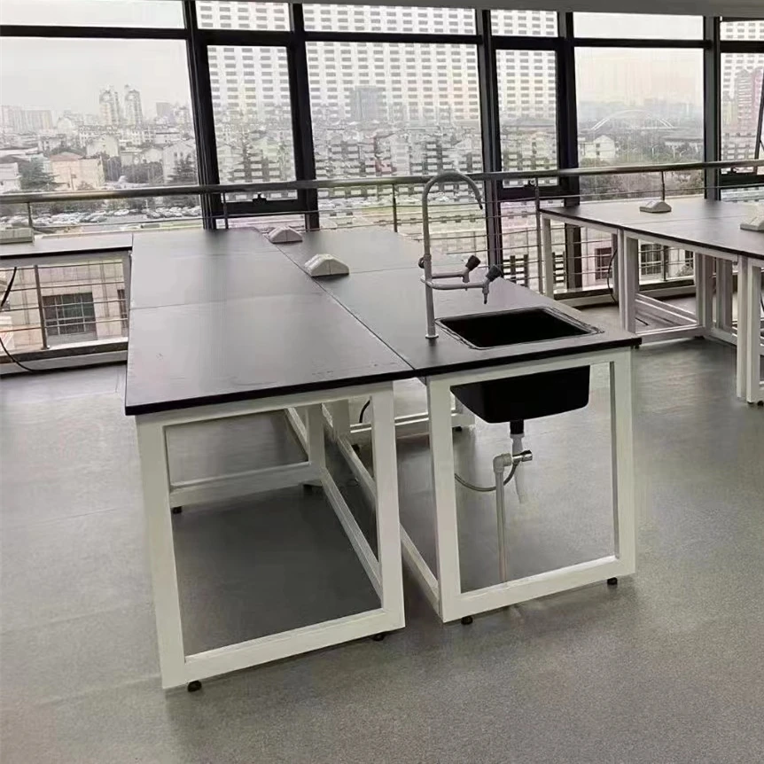 High Quality Simple Steel Frame Lab Bench With Acid And Alkali Resistant Modern Design For Schools Hospitals