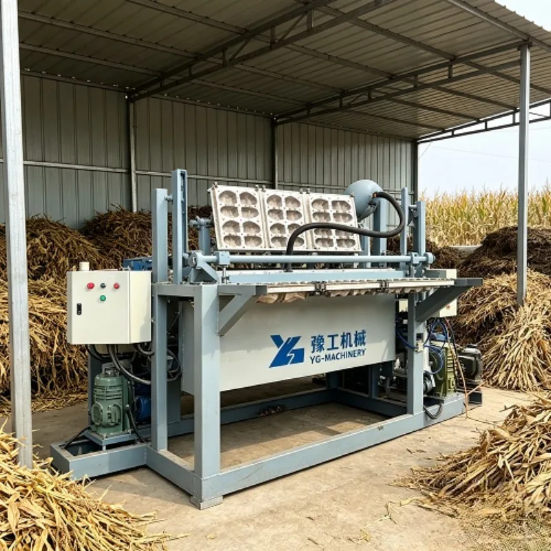 High-Efficiency Egg Tray Dryer System | Turnkey Paper Pulp Egg Tray Production Line with Metal Detection & Stacking Unit