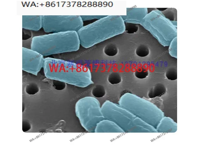 Membrane Space 19mm PCTE Polyate Microporous Filter Plasmid Extrusion Special Exploration Program Funded