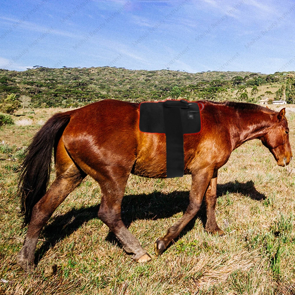 Pain Relief 660 Nm 850 Nm Animal Pet Horse Dog Knee Red Infrared Light Therapy Pad