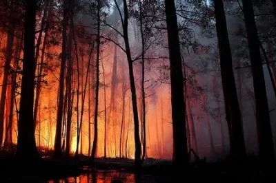 

4PCS Soft Rubber Wheel Tires 25*57*22mm Rock Terrain for 1/18 1/24 RC Micro Crawler Car Axial SCX24 TRX4M AX24 Parts