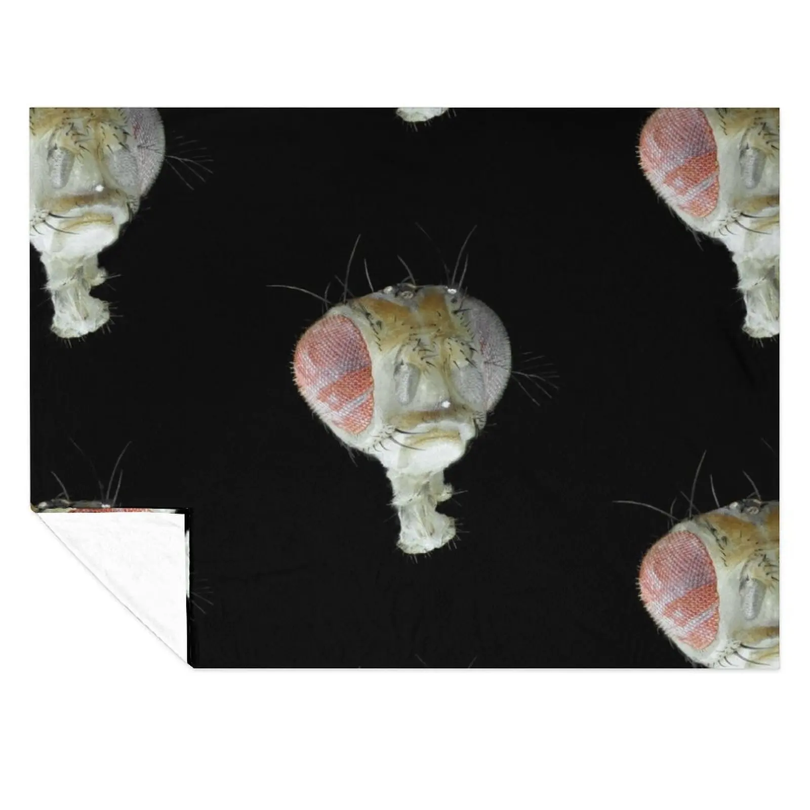 

Head of Drosophila under the microscope Throw Blanket Sofas Decorative Sofa Bed Blankets