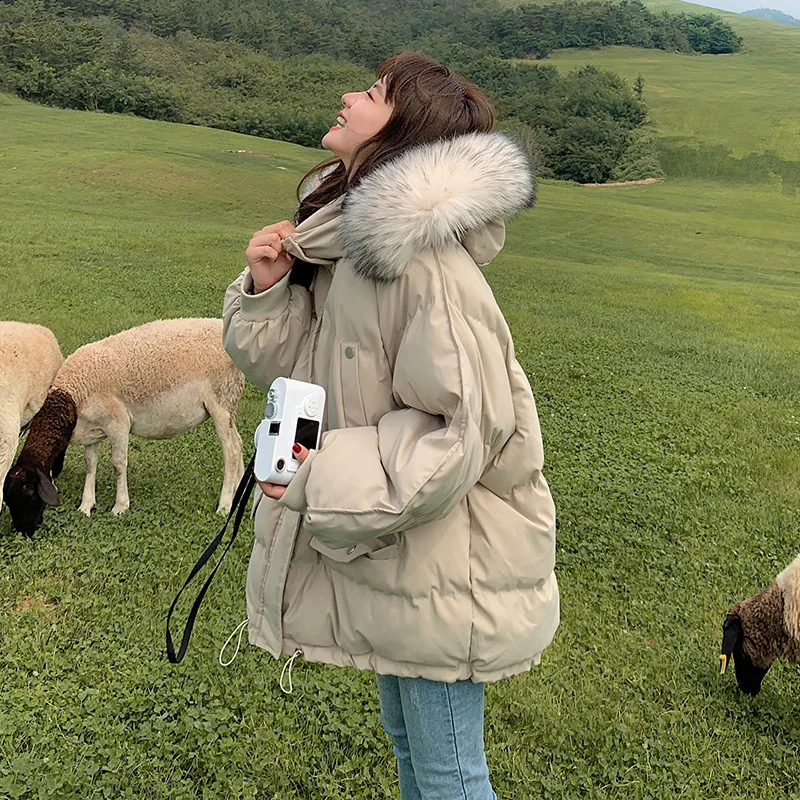 2025 New Autumn and Winter Loose Down Cotton Jacket Women's Short Short Small Loose Thickened Bread Jacket Padded Jacket