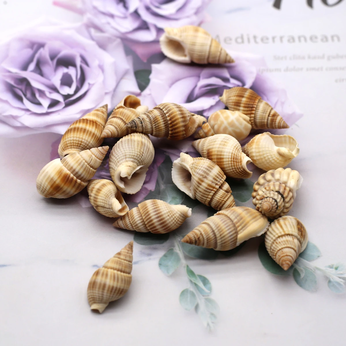 50Pcs Conch Jewelry Natural The Mother Of Pearl Pendant Whithour Hole For Jewelry Making Fishbowl Dress Costume Ornament