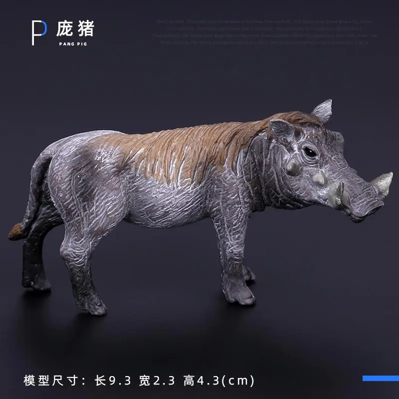 Simulatie Wilde Beeldjes Zwarte Beer Wombat Wasbeer Model Actiefiguren Bosdieren Speelgoed Woondecoratie Kinderen Onderwijs