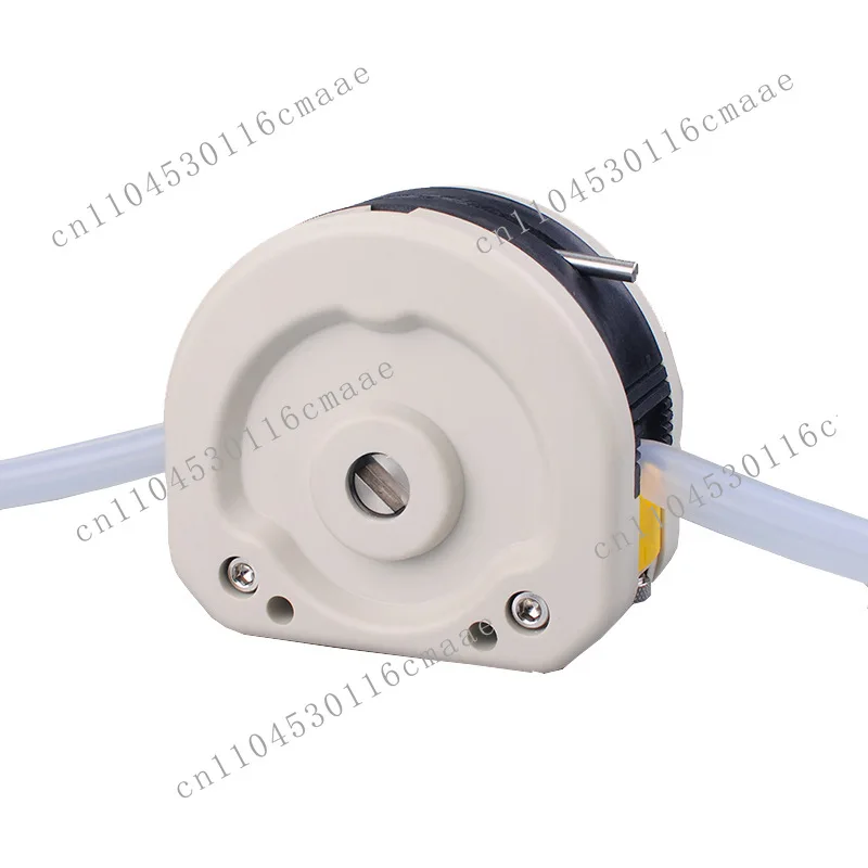 For WT600FJ DC brushless peristaltic pump maintenance-free driver 304 stainless steel housing