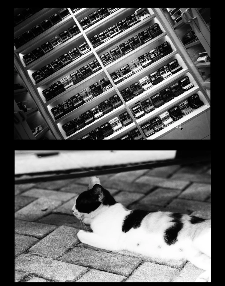 1-10 ROLL Fujifilm 135 mm Schwarzweißfilm Acros II 36 Professional 100 Grad Negativ DX (Ablaufdatum: 2024) ﻿