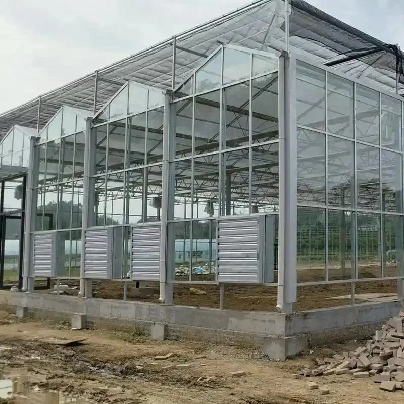 

Customized greenhouseFactory Galvanized Steel Frame Glass Greenhouse with Hydroponics Growing Ventilation System for Vegetables/