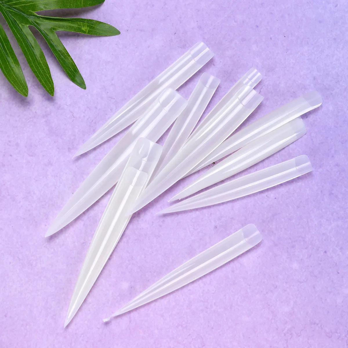 

10Packs False Nail Tips Natural Color Sturdy Material Easy Shape File Paint Safe Healthy Nail Art Nails Tips Perfect for Salon