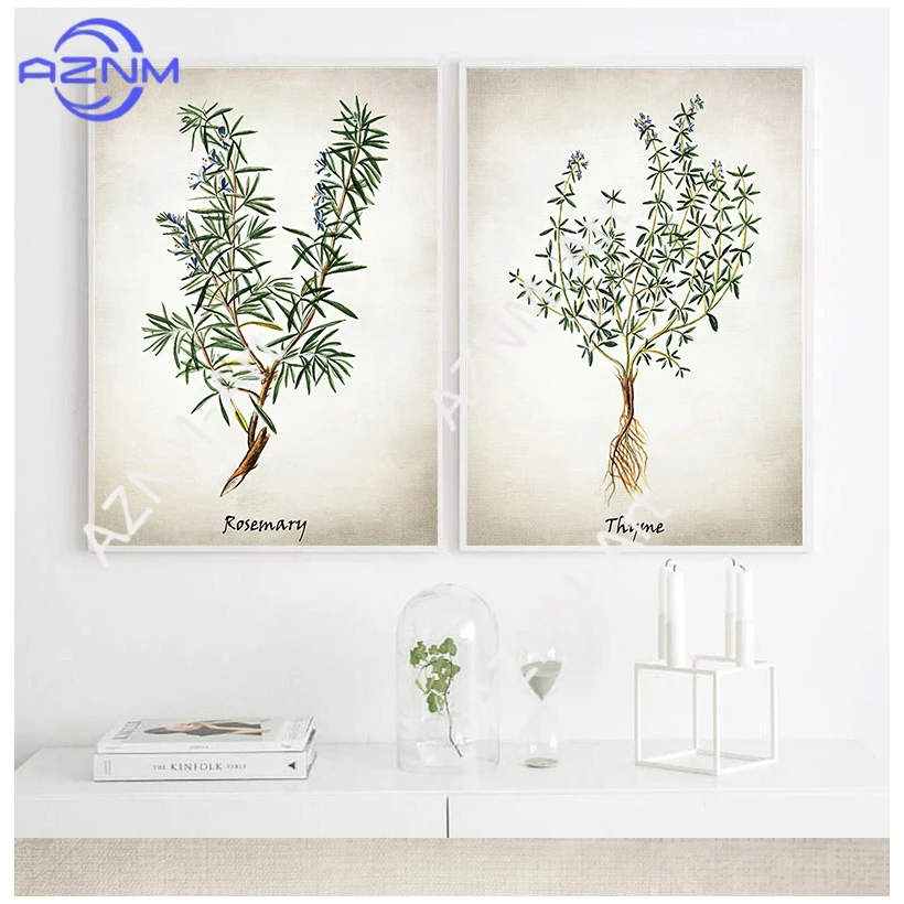 Kräuter-Leinwandkunst Vintage Kräuterillustrationen Poster und Drucke Kochkräuter Botanische Küchen-Wandkunst Bild Dekoration