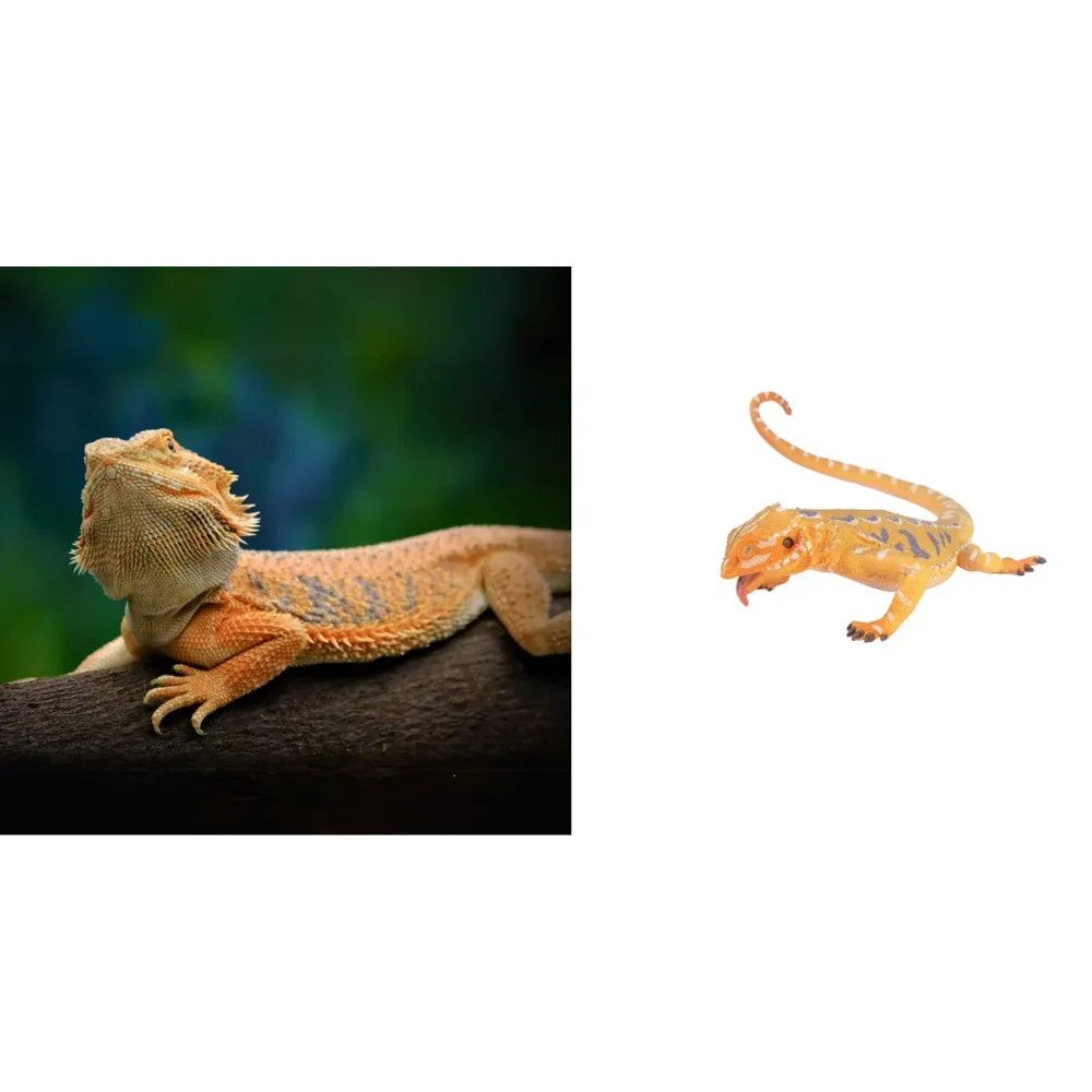 子供のおもちゃ,シミュレーション,ひげを生やしたドラゴン,爬虫類の動物モデル,ミニ人形,アクションフィギュア,ギフト