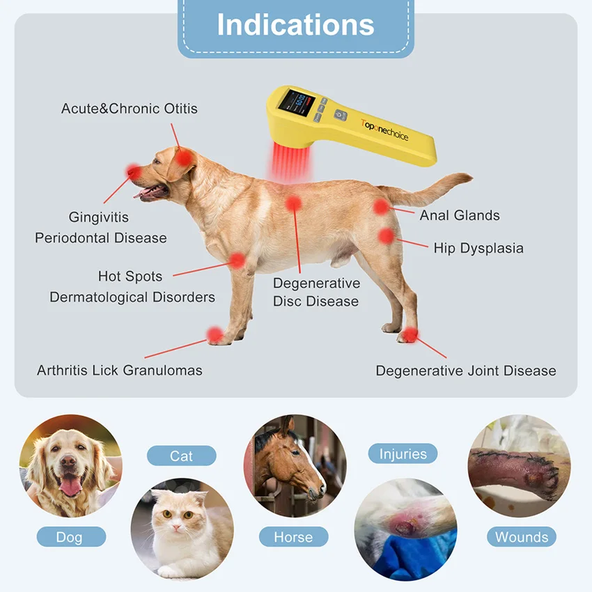 Dispositivo de terapia a laser para alívio da dor, 880mw, fisioterapia, 16x650nm, 4x808nm, laser frio, tratamento de luz vermelha para animais humanos