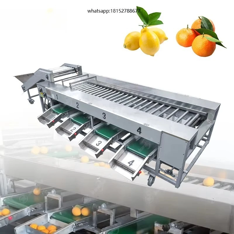 Industrial Avocado Orange Automatic Roller Sizer Fruit Vegetable Grading Equipment Lemon Avocado Sorting Machine