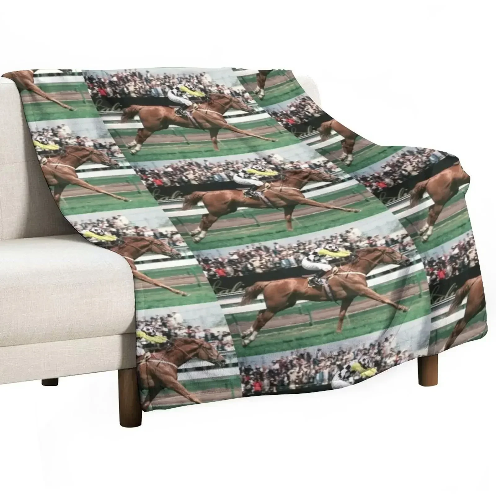 Saintly winning 1996 Melbourne Cup Throw Blanket Blankets For Sofas decorative Custom anime Blankets