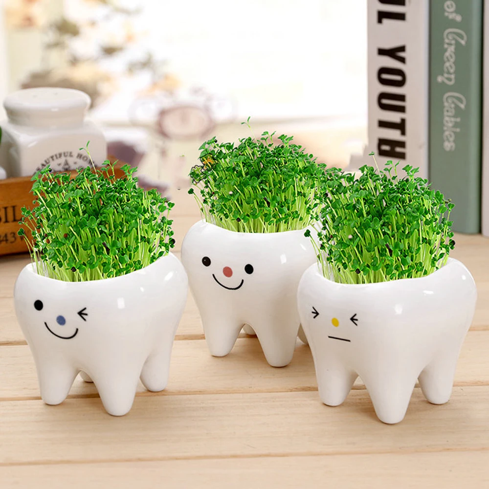 Cute Tooth Flowerpots Ceramic Garden Pots Planters Succulent Cactus Vases Decor Home Garden Decorative Tabletop Plant Pot