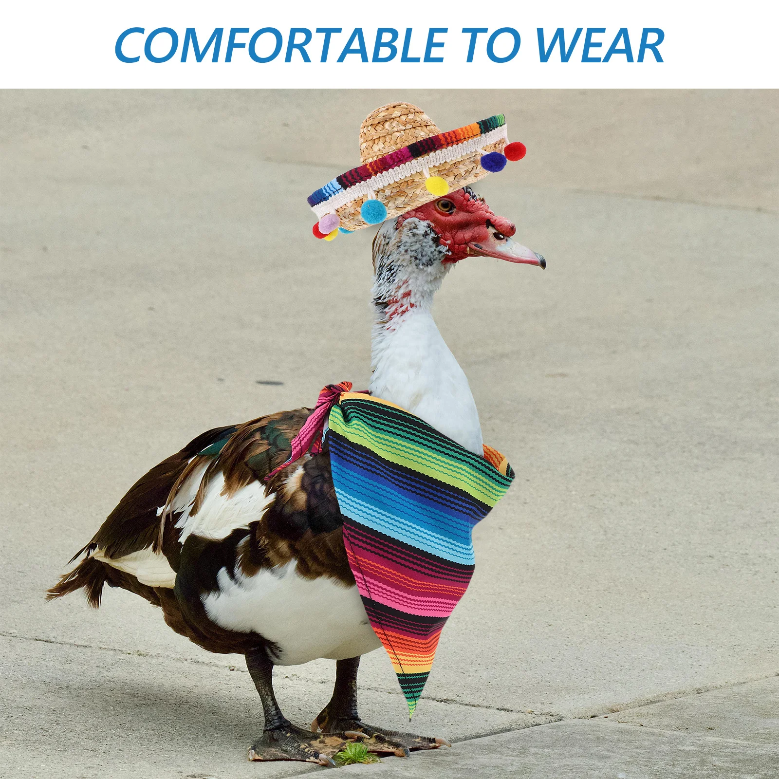 

Mexican Goose Outfit Set: Sombrero Hat Bandana Costume For Duck Small Pets Halloween Cinco De Mayo Party Garden Decoration
