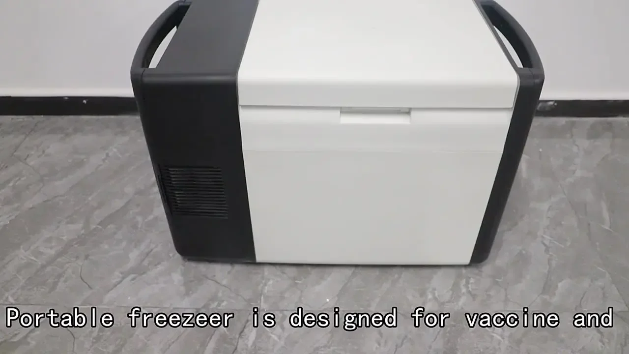 DC 12V 24V Ultra Low Temperature Portable Car Freezer For Medical  Delivery