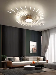 Modern Creativity Firework s Led Ceiling Lights Living Dining Room Ceiling Chandeliers Lighting Bedroom Luster Lamps Luminaire