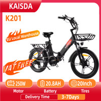 KAISDA K201 Adult Women Electric Bike 250W Motor Electric Bike 36V10.4Ah Battery 20 Inch Rubber Tire Mountain Snow Electric Bike