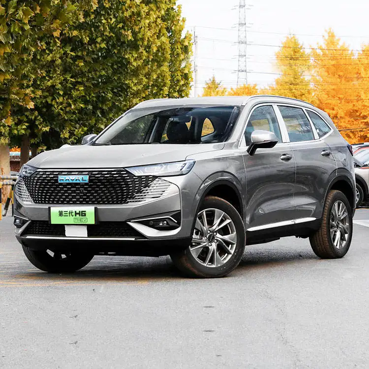 Havel H6 New Energy In Stock 2022 Adult haval New Energy Electric Vehicle High Speed For Sale In China With Five Seats