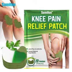 12/36/60/120/180/240Pcs Knee Joint Muscle