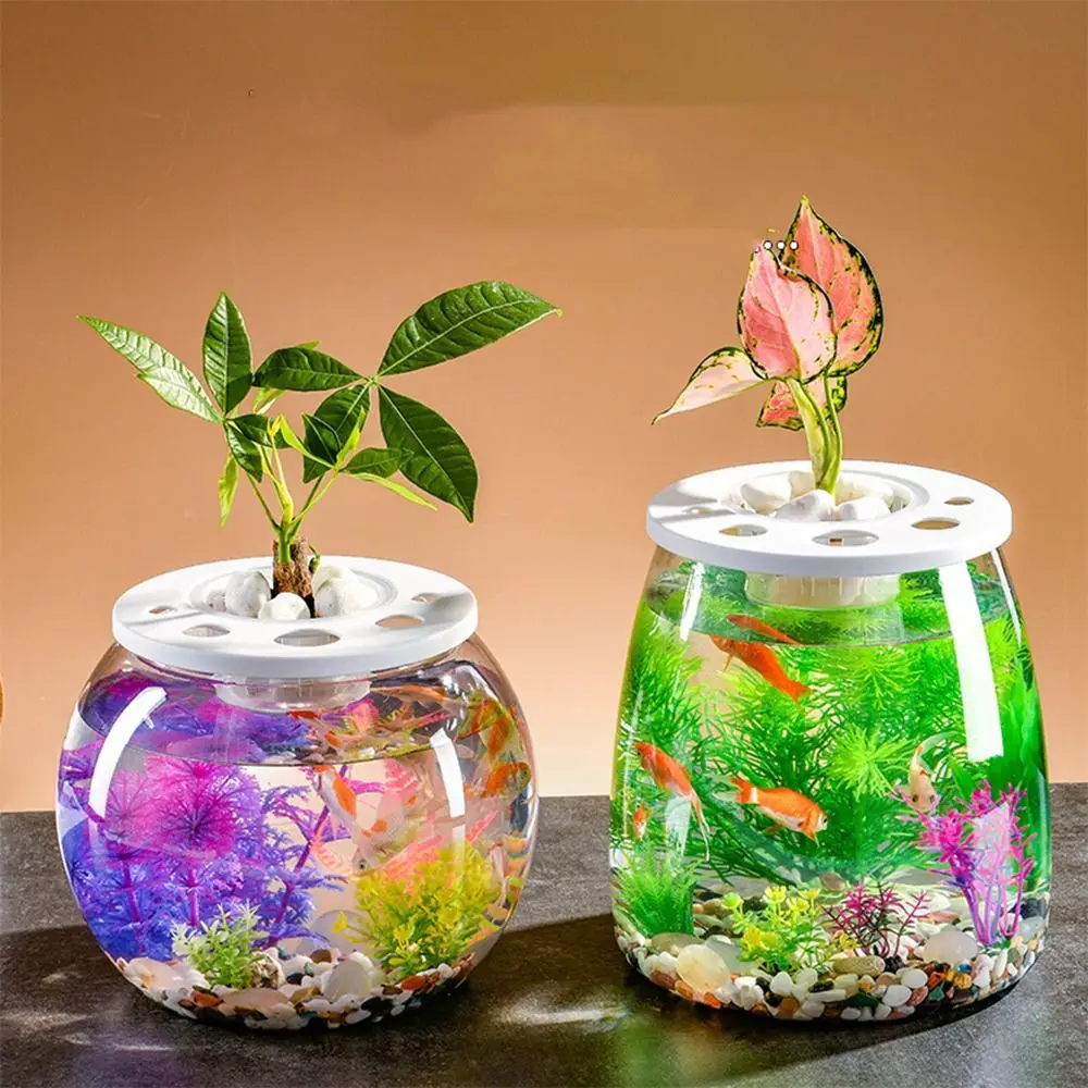 aquario-transparente-pequeno-de-design-moderno-tanque-de-peixes-de-plastico-inquebravel-com-tampa-terrario-para-tartarugas-decoracao-de-escritorio