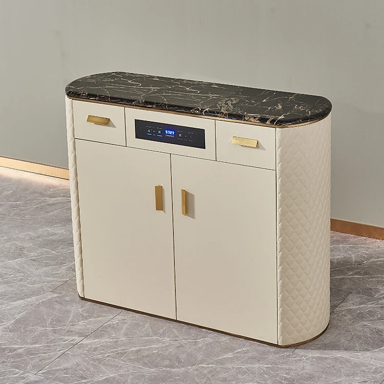 Muebles eléctricos inteligentes del gabinete de zapatos del desinfectante de los muebles del hogar de la tecnología alta de lujo