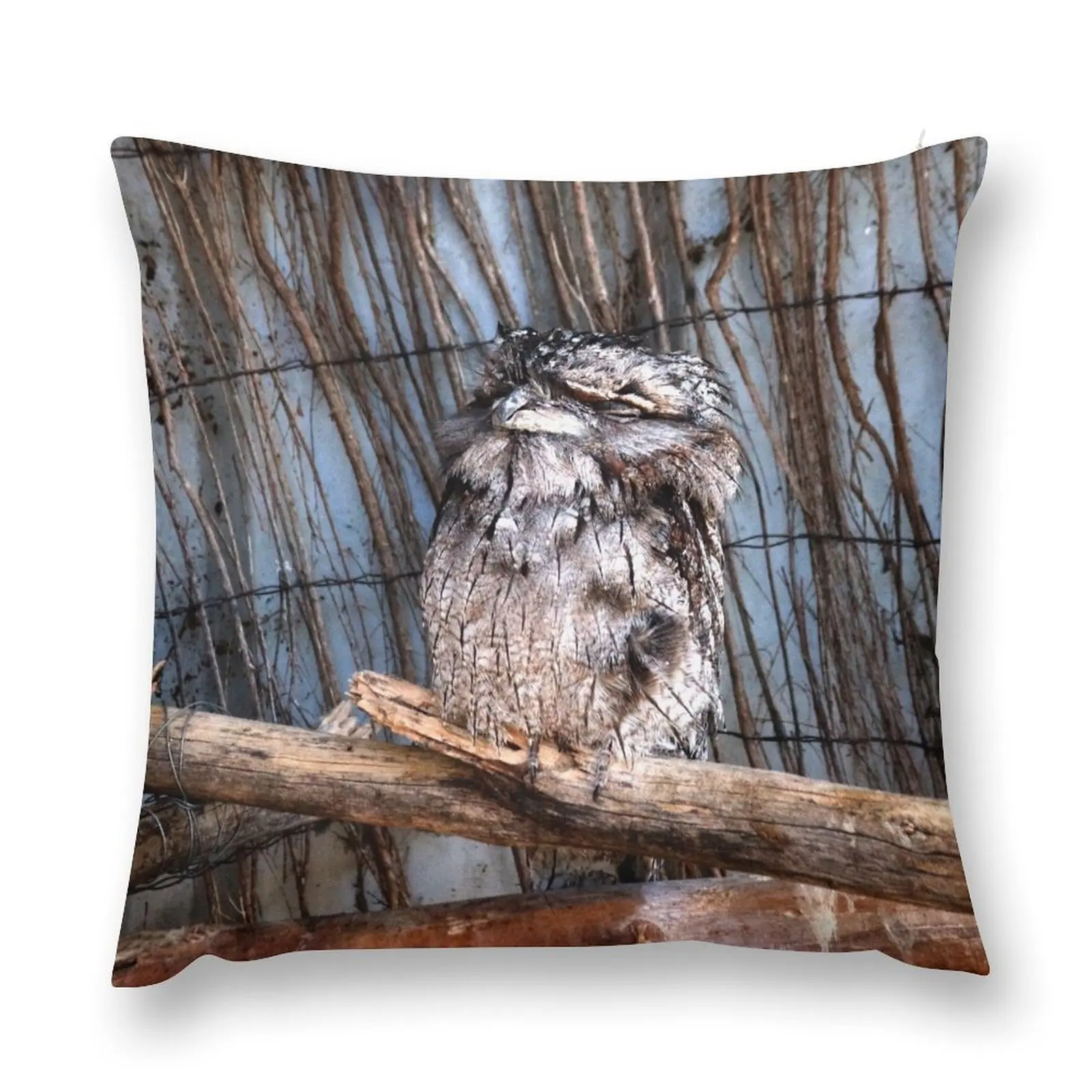 Tawny Frogmouth Owl Sitting on a Stick Throw Pillow Decorative Sofa Cushion Plaid Sofa Cushions Home Decor pillow