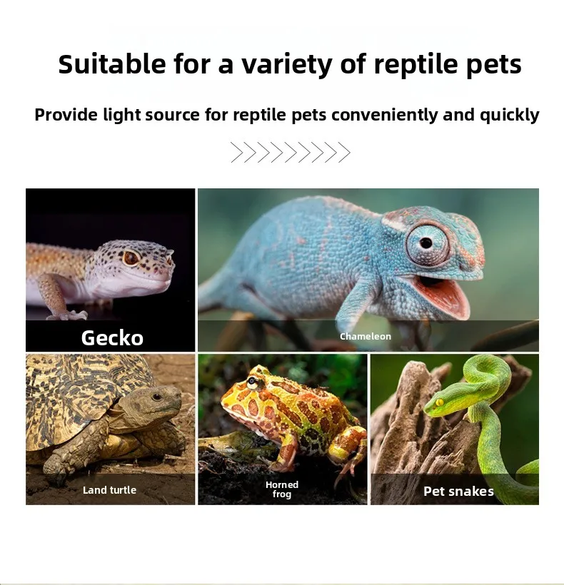 NOMOY Safe Heat Lamp for Birds & Small Pets | Extra Tall Guard & Ceramic Heater | For Parrots, Sugar Gliders & Turtles